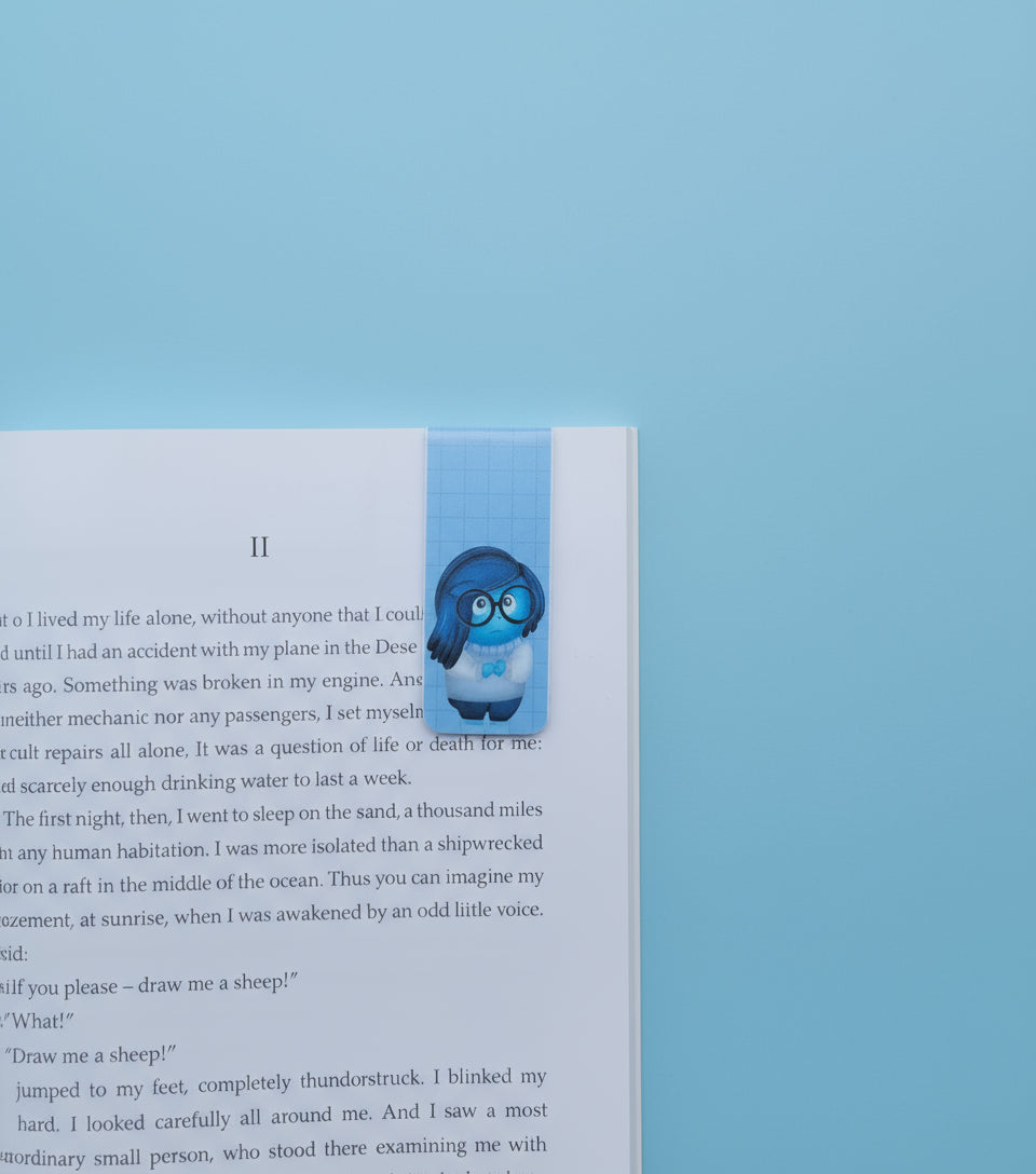 Magnetic bookmark