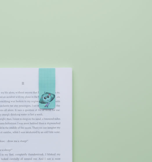 Magnetic bookmark