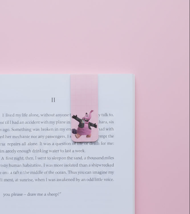 Magnetic bookmark